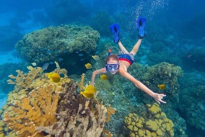 Kaan Luum Lagoon and Cenote Snorkel Tour in Tulum - Pickup in Playa del Carmen and Tulum: where your day starts