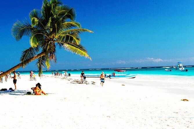Kaan Luum Lagoon, Cenote Zacil Ha & Cenote Zemway Tour from Tulum - Price and value: when $140 makes sense for a Tulum day