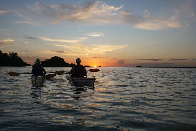 Kayak Sian Ka’an Experience - What You’re Likely to See: Birds, Aquatic Life, and Quiet Water