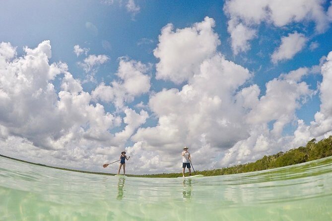 Lagoon Paddleboarding Tour in Tulum - Lunch Break: The Tacos Are Part of the Value