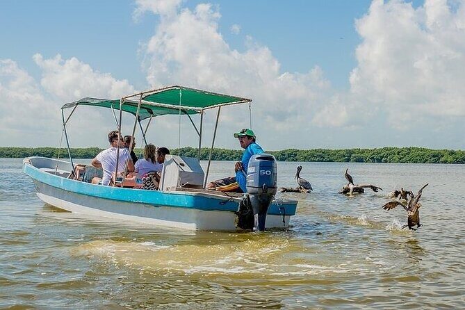 Las Coloradas & Rio Lagartos Biosphere! Transportation from Playa Del Carmen - Lunch included: box meal, choose-your-dish seafood, and fewer restaurant headaches