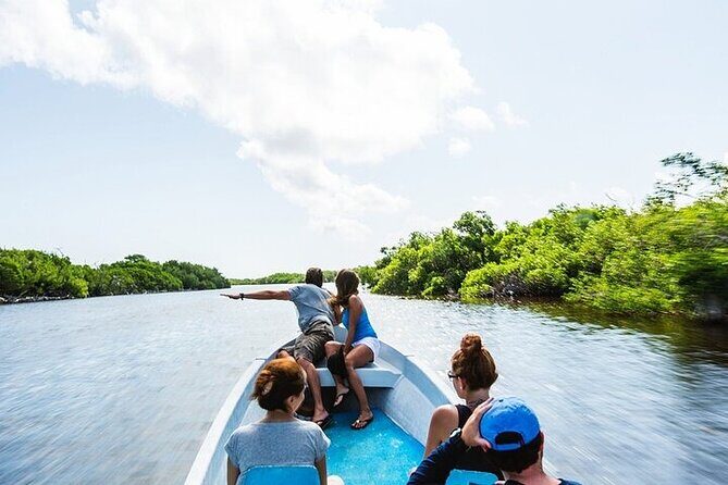 Las Coloradas & Rio Lagartos Biosphere! Transportation from Playa Del Carmen - Crocodile sanctuary stop: natural animals, more structured than you might picture