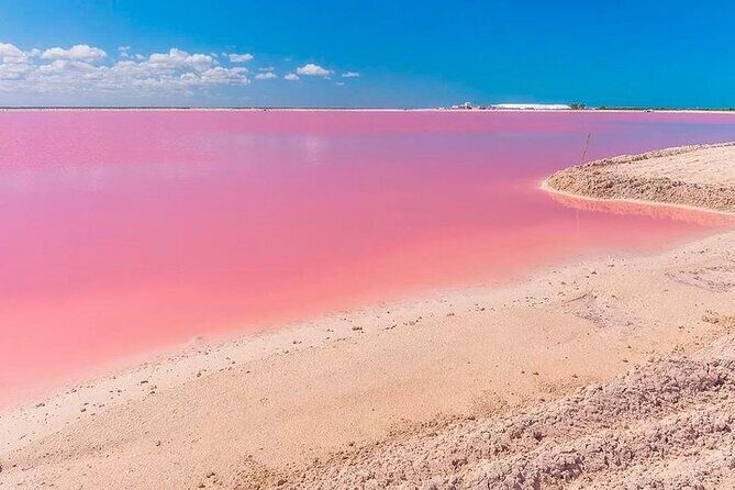 Las Coloradas & Rio Lagartos Biosphere! Transportation from Playa Del Carmen - Who should book this tour from Playa del Carmen?