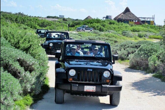 Last Minute Tour : Cozumel to Your Rhythm by Private Buggy - The 3-hour route: what you’ll actually do with your time