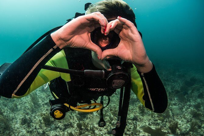 Local Dive in Playa del Carmen - Small groups, real guide names, and safety that feels practiced
