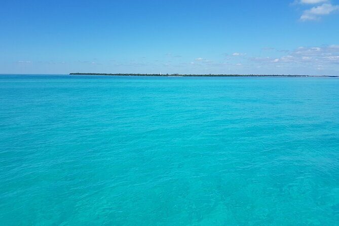 Magic Sian ka'an Deluxe two boats - Second Boat Moments: Dolphin and Sea Turtle Hunting Plus Reef Snorkeling