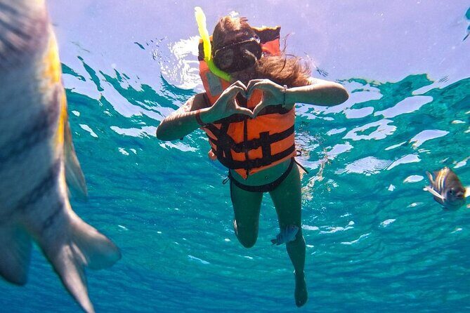 Magnificent Exploration to El Cielo Palancar and Columbia Reefs - Columbia and El Cielo: Why this Cozumel combo works