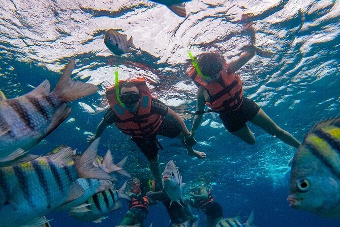 Magnificent Exploration to El Cielo Palancar and Columbia Reefs - Stop 3: Columbia Reef for the dramatic coral and deepest feeling