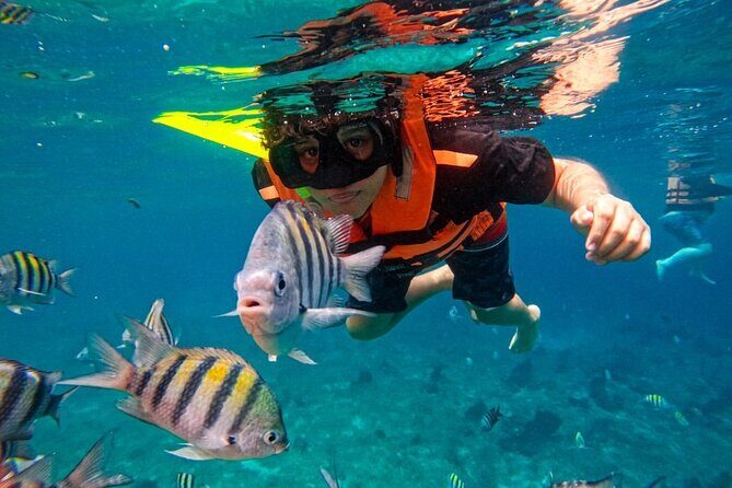 Magnificent Exploration to El Cielo Palancar and Columbia Reefs - Food and drinks: ceviche, fruit, and the adult beer bonus