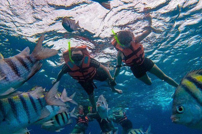 Magnificent Exploration to El Cielo Palancar and Columbia Reefs - Guides, language, and photos: how to avoid headaches