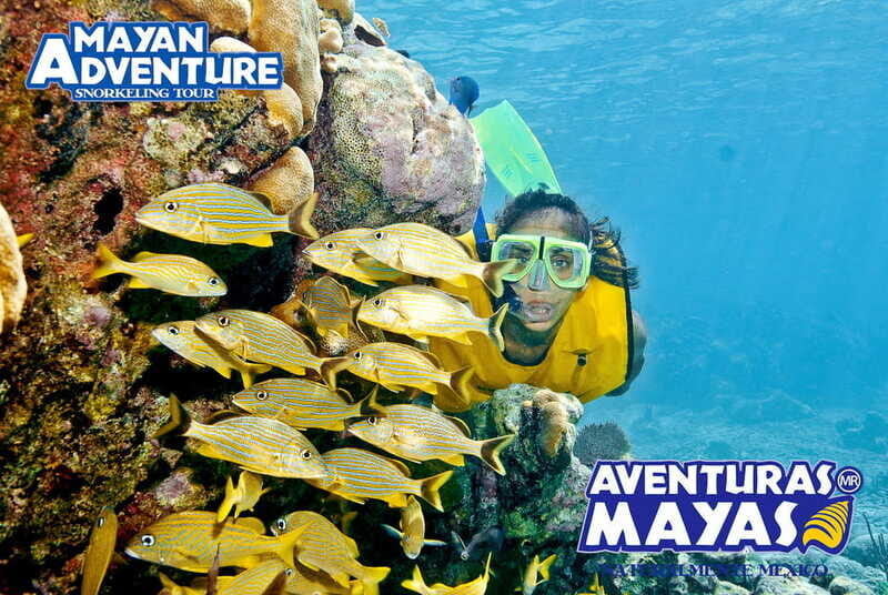 Mayan Adventure - 3 different snorkeling sites in one day! - Open Cenote Stop: Zip Lines, Jump Platforms, and a Brighter Water View