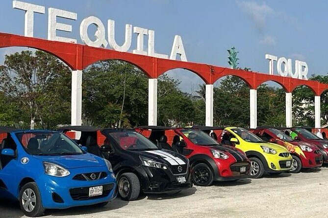 Mayan Adventure by Buggy : Explore Ruins & Culture Park - Key highlights to know before you go