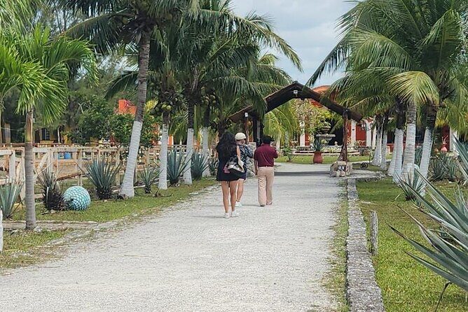 Mayan Adventure by Buggy : Explore Ruins & Culture Park - Local flavors, water time, and beach breaks