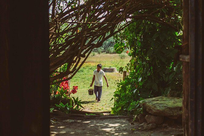 Mayan Backroads Private Bike Tour from Tulum - Cenote Esmeralda: where the day cools down