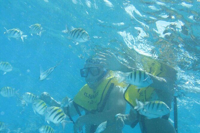 Mayan Ruins and Beach Time - Price and value: is $151.50 worth a ruins + beach + snorkel day?