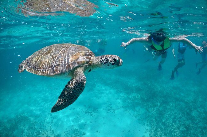 Mayan snorkeling (Akumal-Cenote-Caverna) - Photo/Video Package: Buy Memories, Not Stress