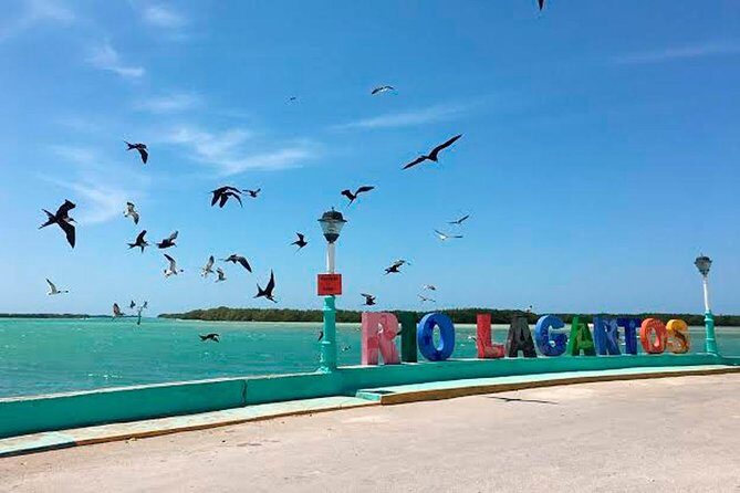 Natural Pink Lake Tour Las Coloradas only from Playa del Carmen - The early start from Playa del Carmen (and why you feel it)