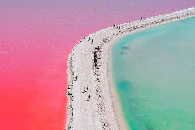 Natural Pink Lake Tour Las Coloradas only from Playa del Carmen - Ría Lagartos: mangroves and wildlife time in the reserve