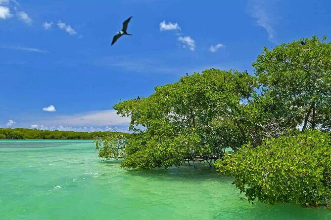 Nature Day, Sian Kaan Biosphere Tour! Round Transportation from Tulum City - The Round-Trip Ride: Where the Time Can Feel Heavy