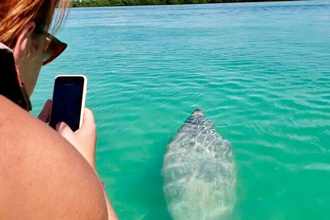 Nature Day, Sian Kaan Biosphere Tour! Round Transportation from Tulum City - Meal Timing, Photo Hour, and the Included Comfort Stops