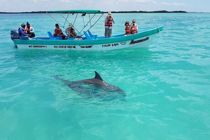 Nature Day, Sian Kaan Biosphere Tour! Round Transportation from Tulum City - Price and Value: $201 Plus the Biosphere Tax