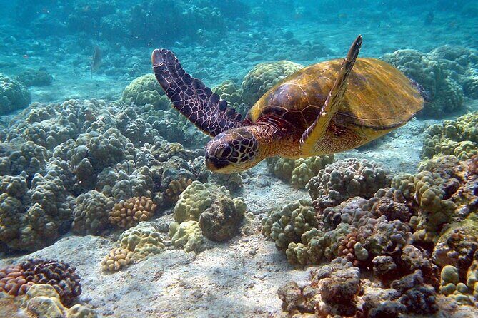 Nature Day, Sian Kaan Biosphere Tour! Round Transportation from Tulum City - Who This Tour Fits Best (and Who Should Rethink It)