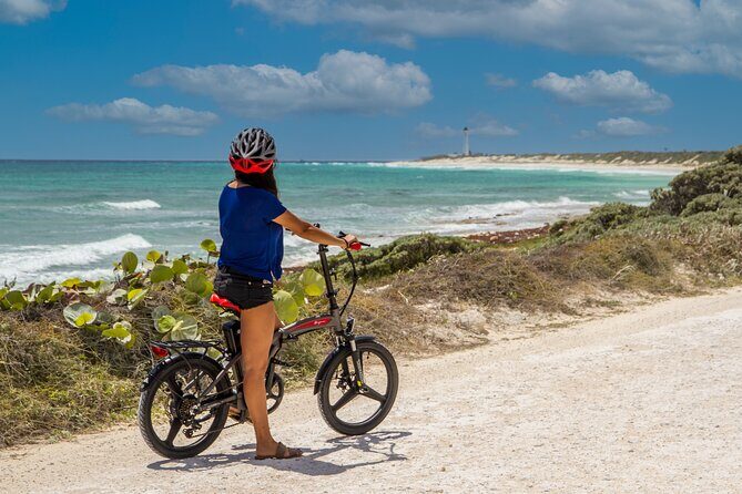 North Shore E-Bike & Beach Break - The Ride Between Stops: Coastal Roads, Small Groups, and Real Timing