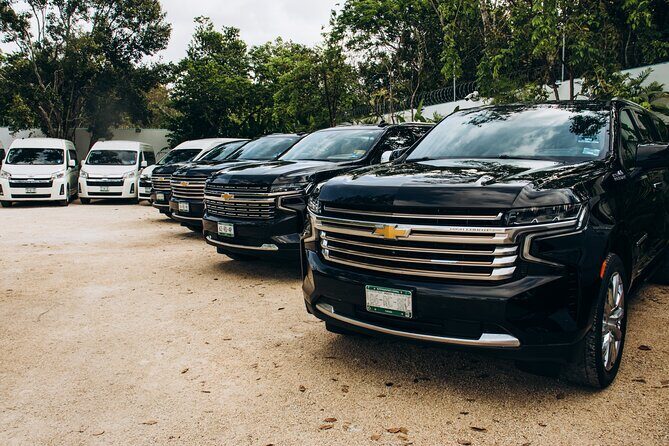 One Way Private Transfer Playa del Carmen - Cancun Int Airport - Key things to know before you book