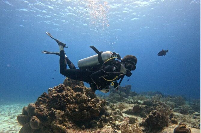 Open Water Diver Course - Key highlights before you commit
