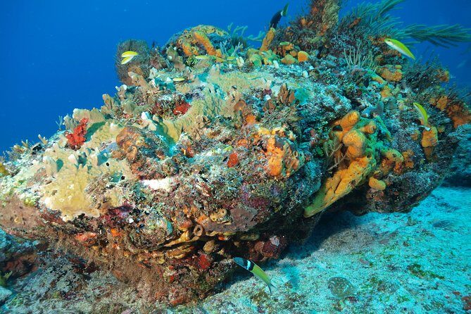 Open Water Diver course PADI including underwater video - Pool skills: your confidence blueprint