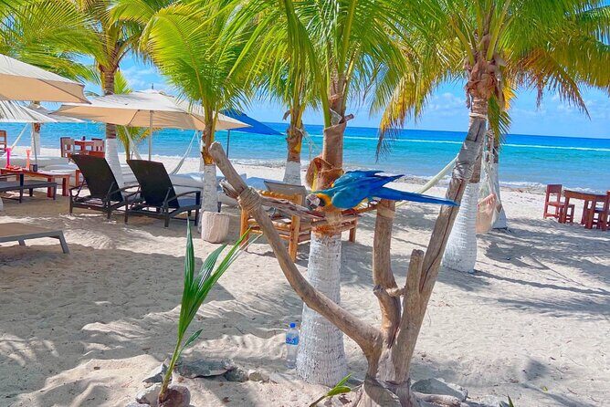 Otoch Mayan Experience Tour: Cultural & Historical Adventure - What I’d Do Differently Before Booking