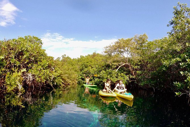 Paddleboard Cenote Tour - Paddleboard Cenote Tour in Tulum: Why this combo works