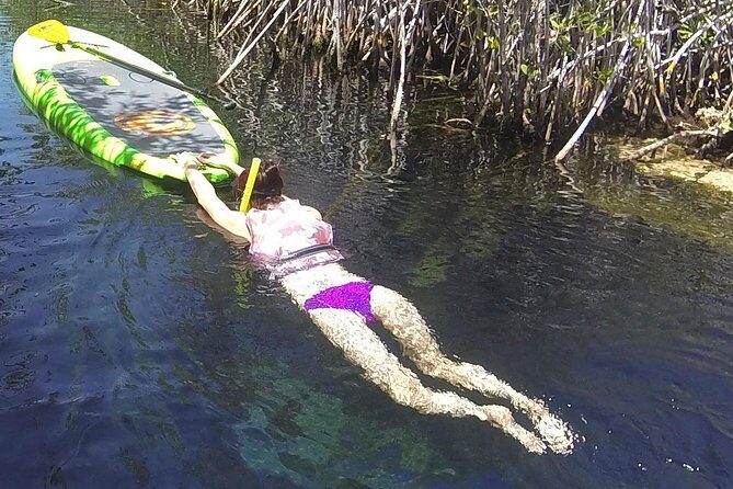 Paddleboard Cenote Tour - The guide matters: beginner SUP coaching (and why Birgit’s approach is a good sign)