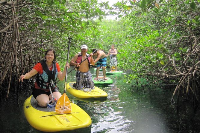 Paddleboard Cenote Tour - Transfers and meeting points in Tulum Center: less hassle, more water time