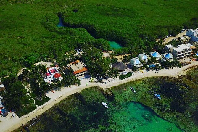 Paddleboard Cenote Tour - Who should book this paddleboard cenote tour (and who might want to skip it)