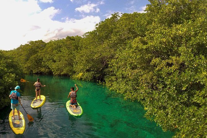 Paddleboard Cenote Tour - Casa Cenote on SUP and snorkeling: what the 3–4 hours feel like