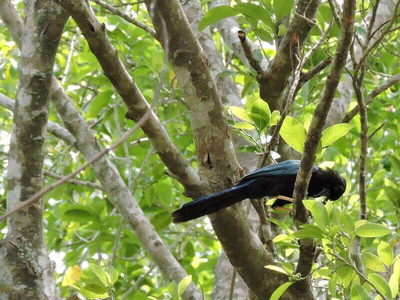 Playa del Carmen: Guided Birdwatching Hike - Price and value: is $178 per person worth it?