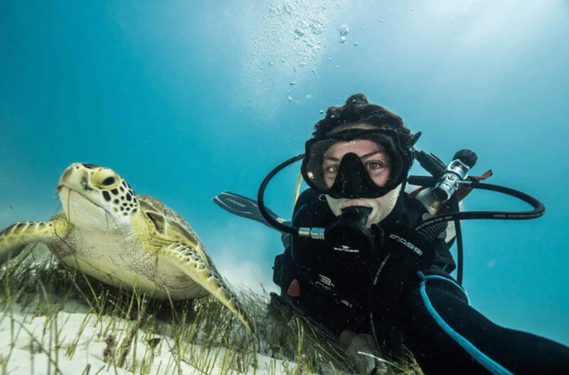 Playa del Carmen: Guided Reef Diving for Certified Divers - Why Playa del Carmen works so well for a reef day