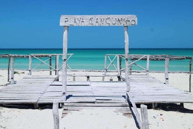 Playa del Carmen: Rio Lagartos and Las Coloradas Tour - Key highlights to know before you go