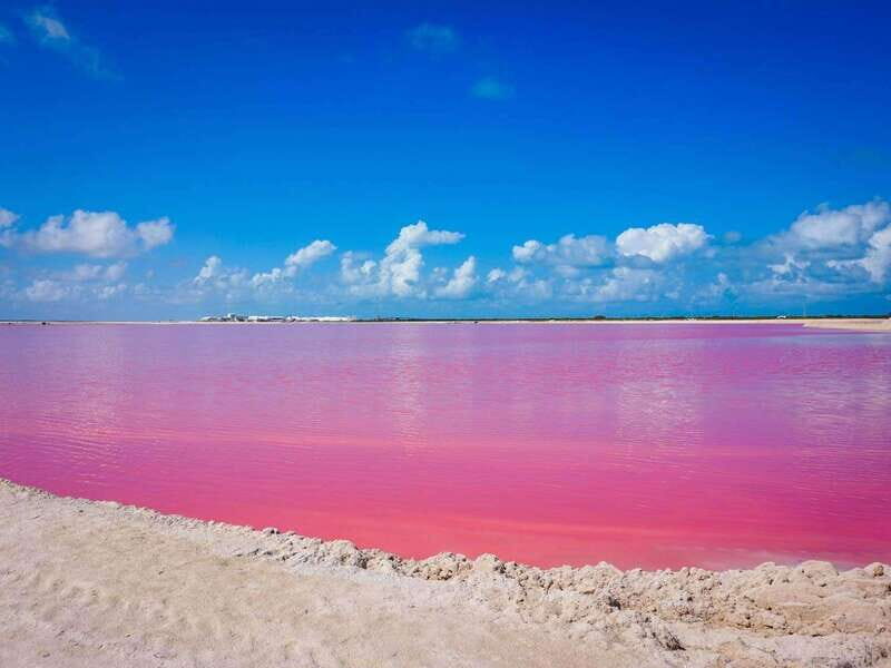Playa del Carmen: Rio Lagartos and Las Coloradas Tour - Seafood lunch: good and simple, but don’t expect fine dining
