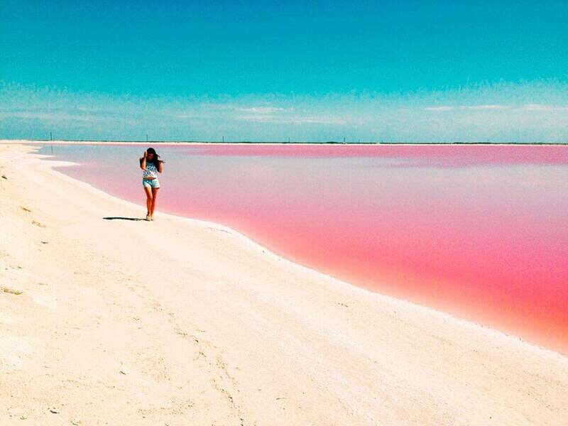 Playa del Carmen: Rio Lagartos and Las Coloradas Tour - Price and value: where $142 really lands