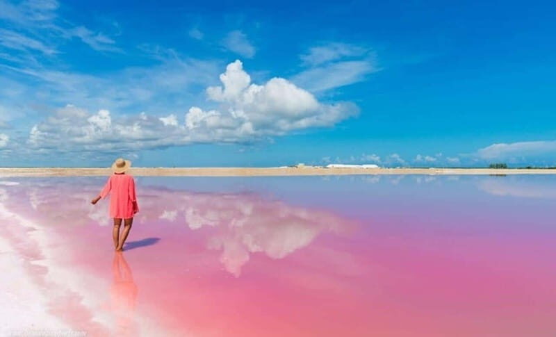 Playa del Carmen: Rio Lagartos and Las Coloradas Tour - Logistics from Playa del Carmen: timing, pickup, and transport comfort