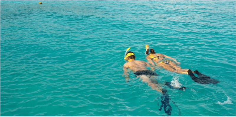 Playa del Carmen: Snorkel Tour at Local Reef - Gear check: what’s included and what to verify before you go