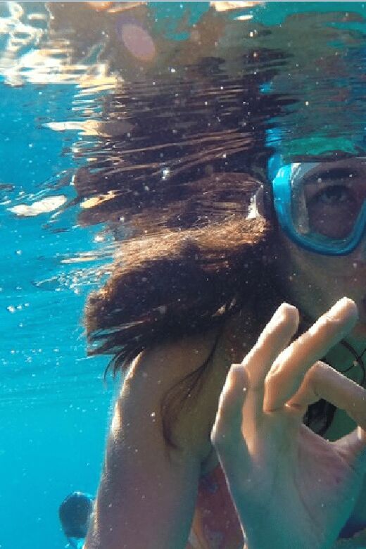 Playa del Carmen: Snorkel Tour at Local Reef - Price and value: is $70 worth it here?