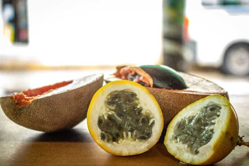 Playa del Carmen: Vegan Food Walking Tour - A Small-Group Vegan Walk That Teaches You How to Eat Here