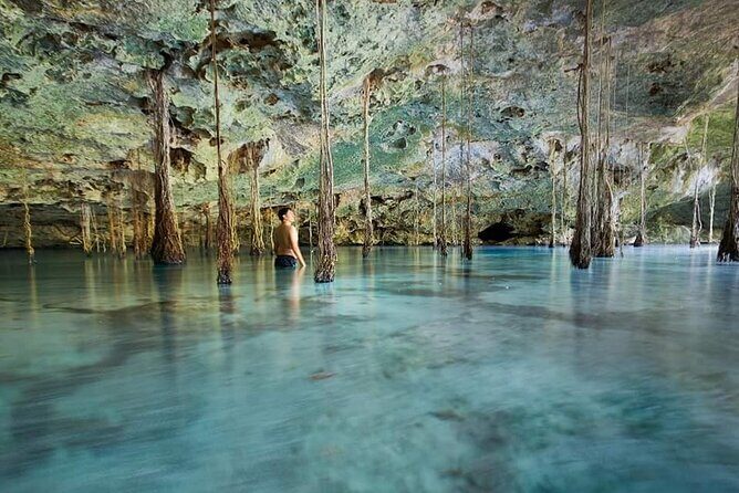 Private 4Cenote Experience, swim in the heart of the Mayan Jungle - Key Highlights You’ll Actually Notice