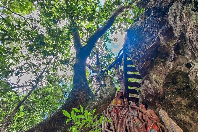 Private 4Cenote Experience, swim in the heart of the Mayan Jungle - Jungle Trails First: Why the Walk Matters