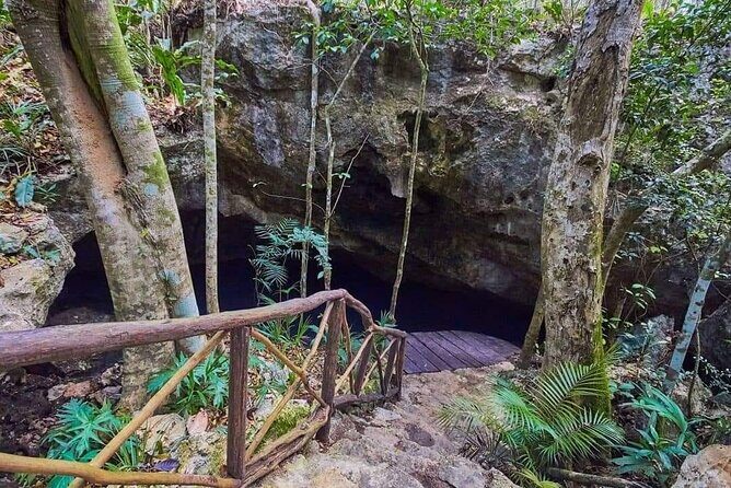 Private 4Cenote Experience, swim in the heart of the Mayan Jungle - Snorkeling Gear Included: How to Make It Comfortable