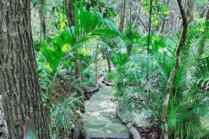 Private 4Cenote Experience, swim in the heart of the Mayan Jungle - Price and Value: What $140.10 Covers (and Why It’s Not Just a Snorkel)