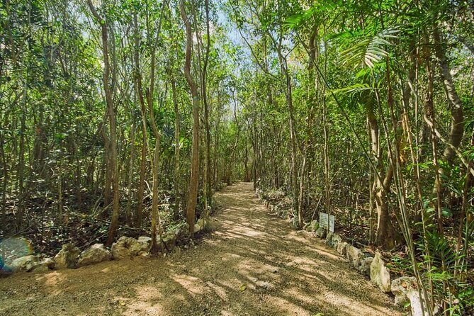 Private 4Cenote Experience, swim in the heart of the Mayan Jungle - What to Pack for a Smooth Cenote Morning